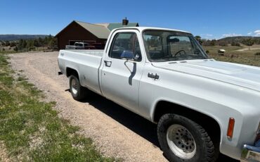 Chevrolet-C-10-1974-2