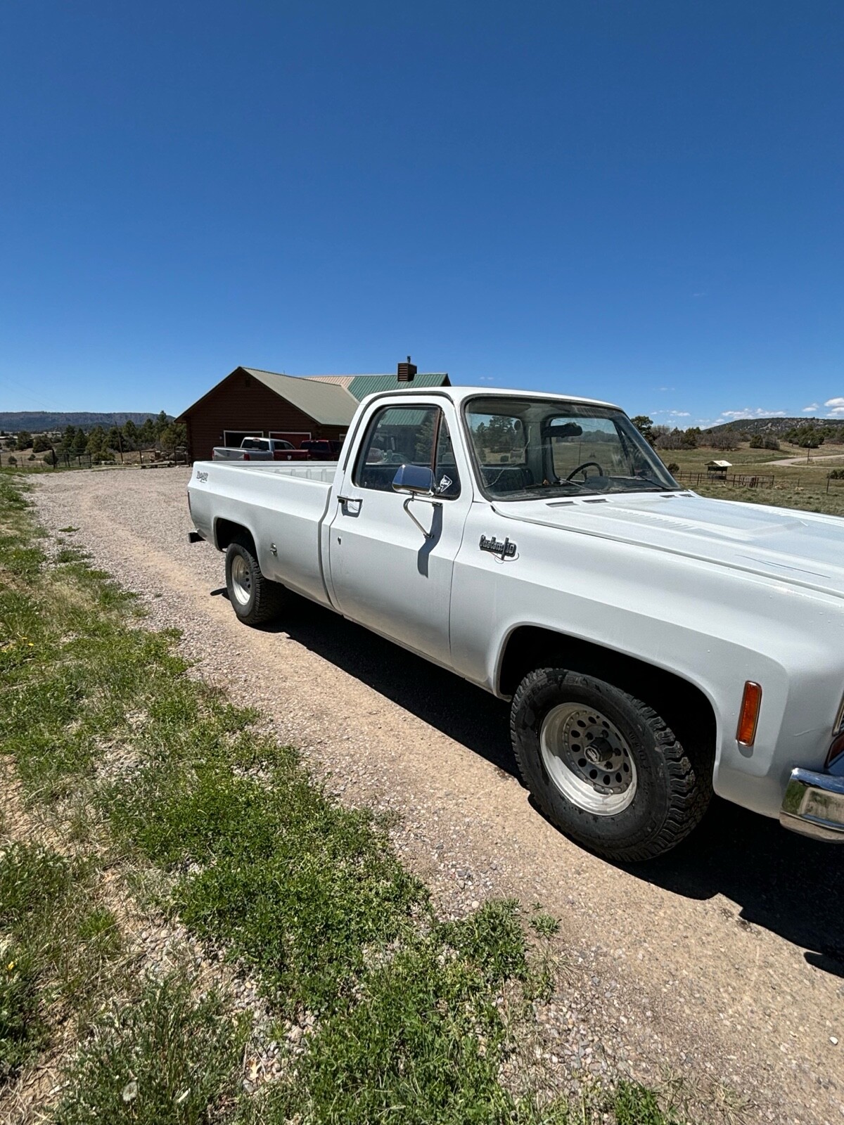 Chevrolet-C-10-1974-2