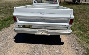 Chevrolet-C-10-1974-3