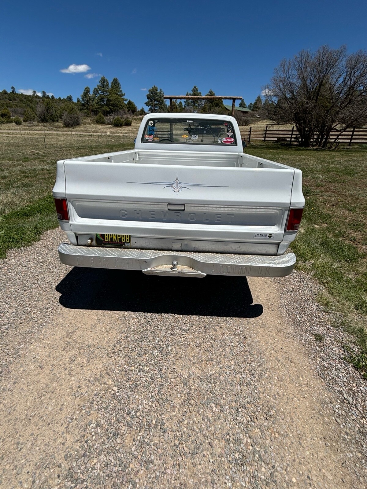 Chevrolet-C-10-1974-3