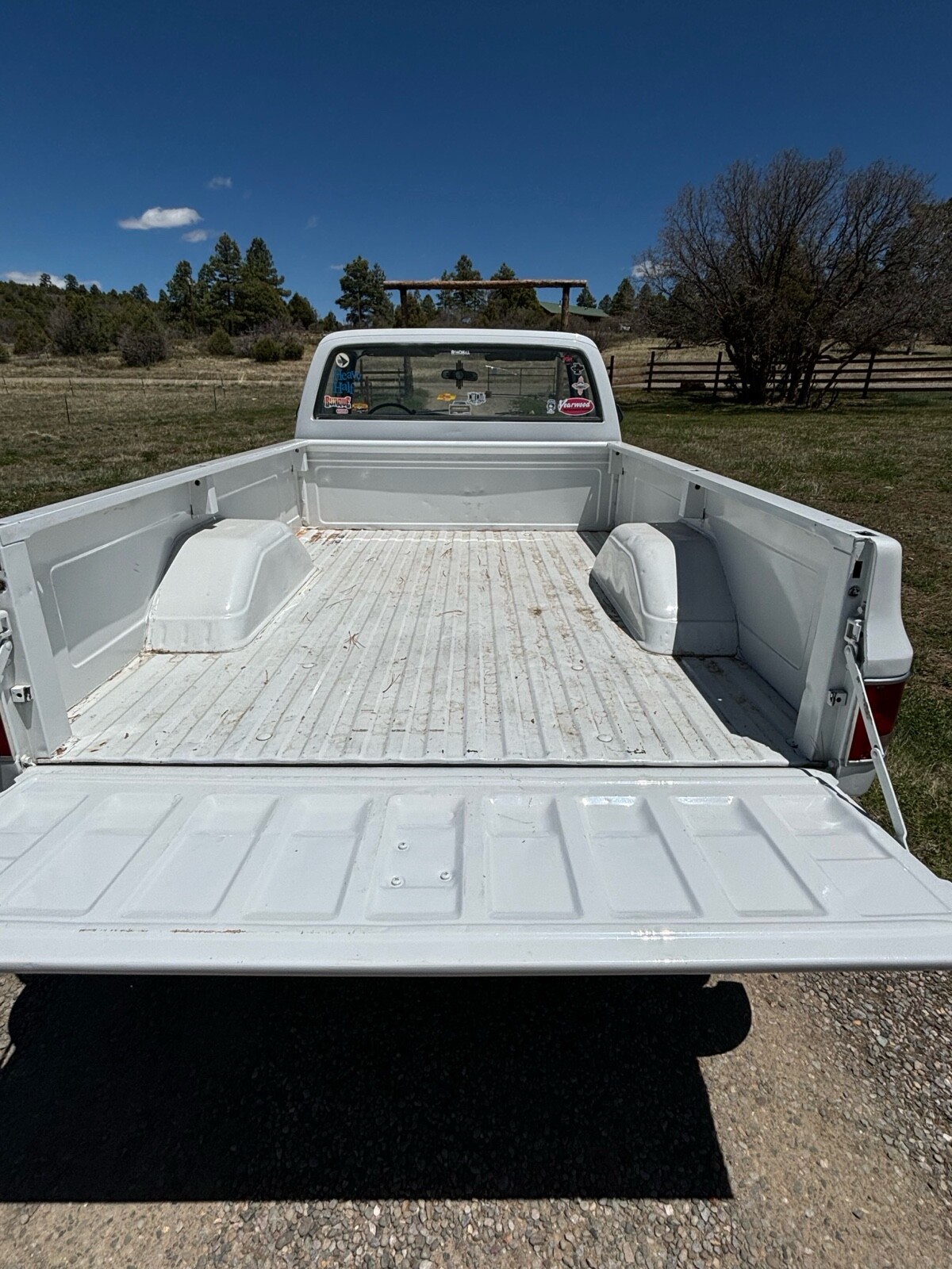 Chevrolet-C-10-1974-4