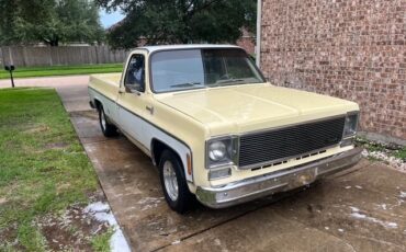 Chevrolet-C-10-1975-Standard-Cab-Pickup-1