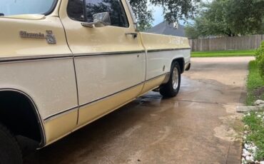 Chevrolet-C-10-1975-Standard-Cab-Pickup-3