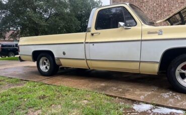 Chevrolet-C-10-1975-Standard-Cab-Pickup-4