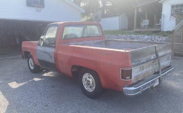 Chevrolet-C-10-1977-1