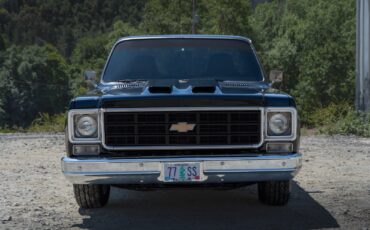 Chevrolet-C-10-1977-1