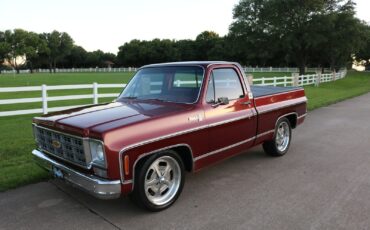 Chevrolet-C-10-1977-1