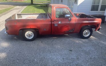 Chevrolet-C-10-1977-10