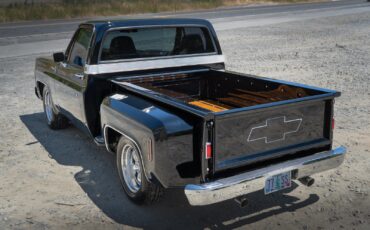 Chevrolet-C-10-1977-11