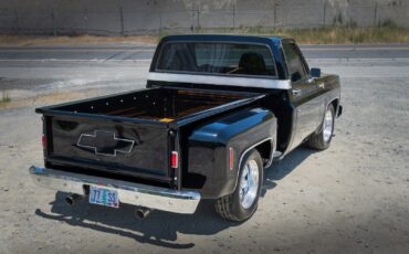 Chevrolet-C-10-1977-12