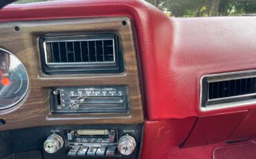Chevrolet-C-10-1977-15