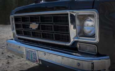 Chevrolet-C-10-1977-16