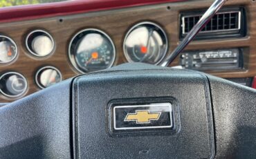 Chevrolet-C-10-1977-16