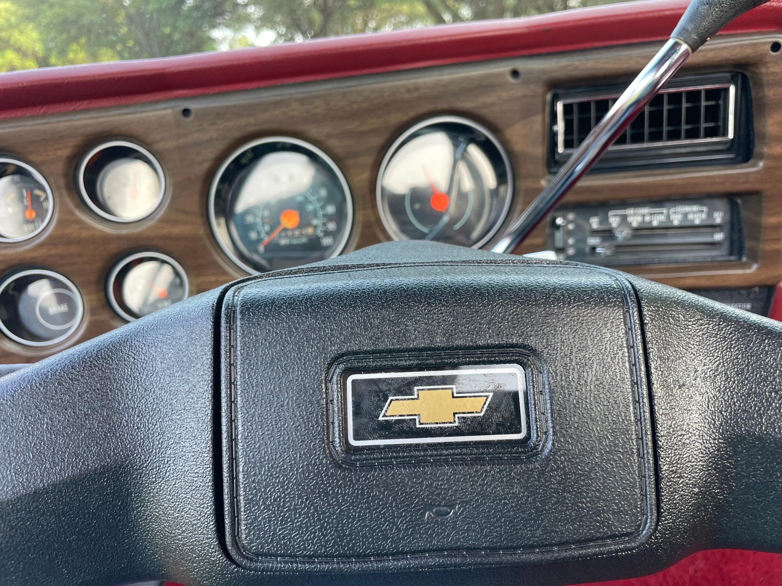 Chevrolet-C-10-1977-16