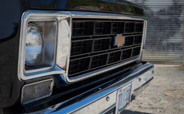 Chevrolet-C-10-1977-18