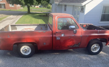Chevrolet-C-10-1977-19