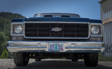 Chevrolet-C-10-1977-19