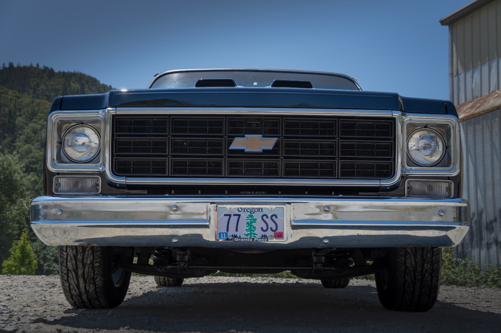 Chevrolet-C-10-1977-19