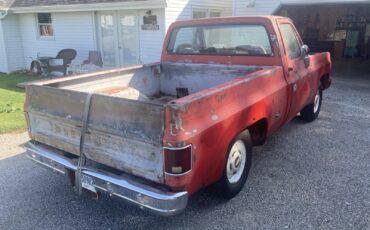 Chevrolet-C-10-1977-2