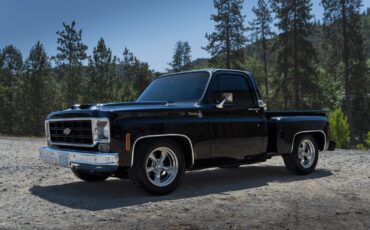 Chevrolet-C-10-1977-2