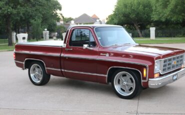 Chevrolet-C-10-1977-2