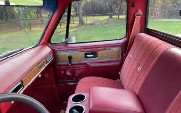 Chevrolet-C-10-1977-20