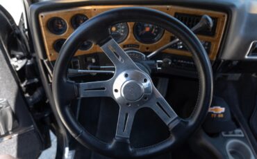 Chevrolet-C-10-1977-26