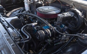 Chevrolet-C-10-1977-29