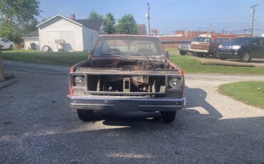 Chevrolet-C-10-1977-3