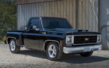 Chevrolet-C-10-1977-3