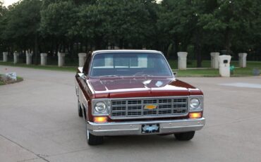 Chevrolet-C-10-1977-3