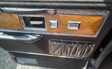 Chevrolet-C-10-1977-37
