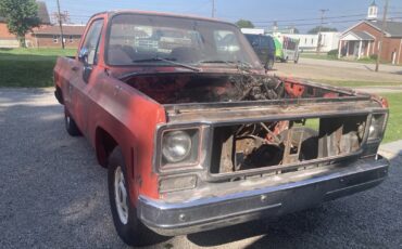 Chevrolet-C-10-1977-4