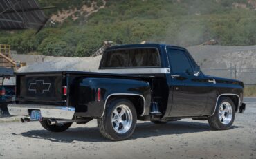 Chevrolet-C-10-1977-5