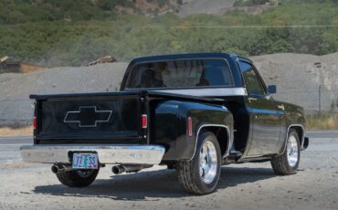 Chevrolet-C-10-1977-6