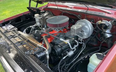 Chevrolet-C-10-1977-9