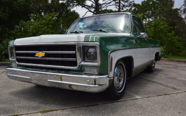 Chevrolet-C-10-1978-1