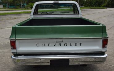 Chevrolet-C-10-1978-10