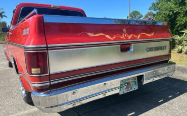 Chevrolet-C-10-1978-11