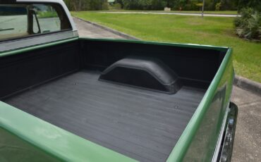 Chevrolet-C-10-1978-11