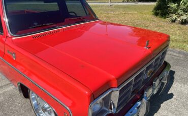 Chevrolet-C-10-1978-12