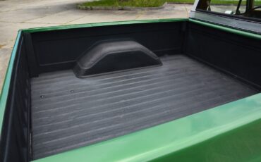 Chevrolet-C-10-1978-12