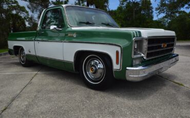 Chevrolet-C-10-1978-13