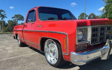 Chevrolet-C-10-1978-14