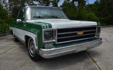 Chevrolet-C-10-1978-14