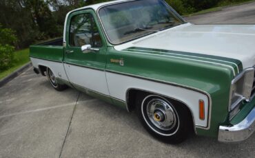 Chevrolet-C-10-1978-15