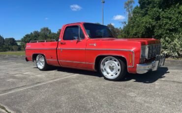 Chevrolet-C-10-1978-16