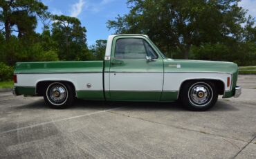 Chevrolet-C-10-1978-16