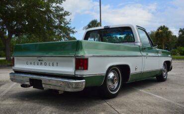 Chevrolet-C-10-1978-17