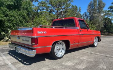Chevrolet-C-10-1978-18